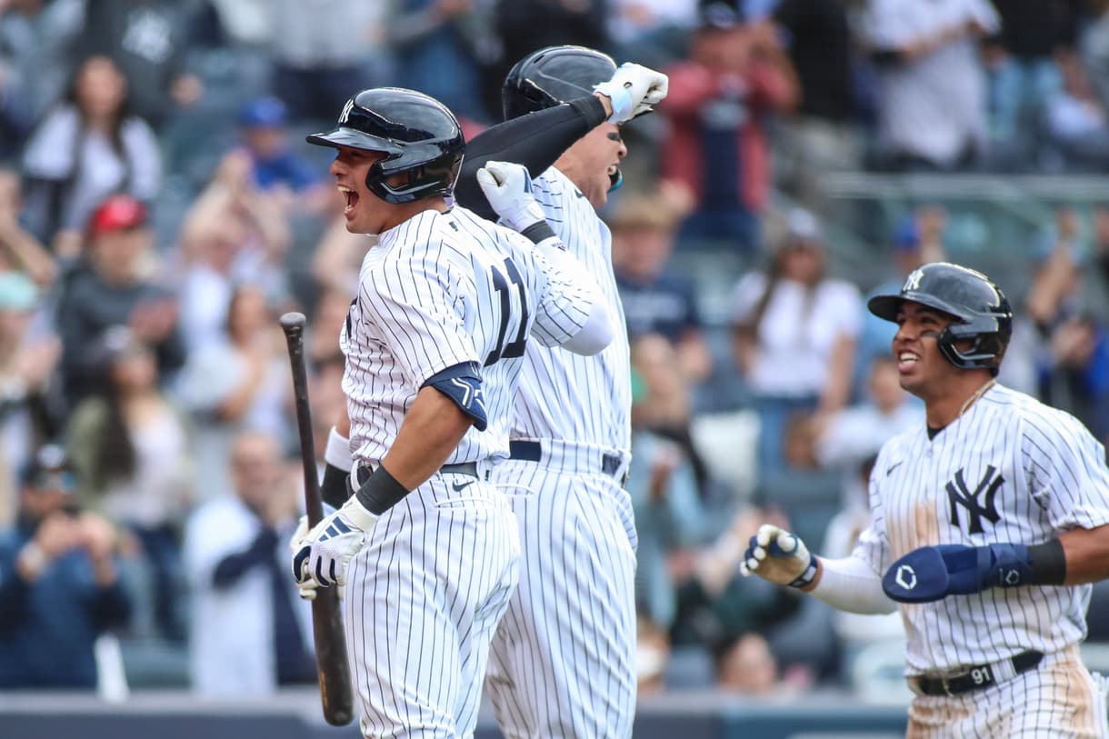 anthony volpe, yankees