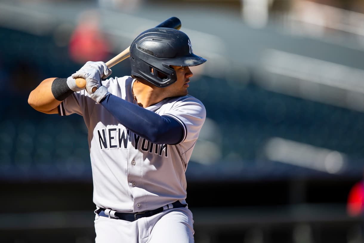 jasson dominguez, yankees