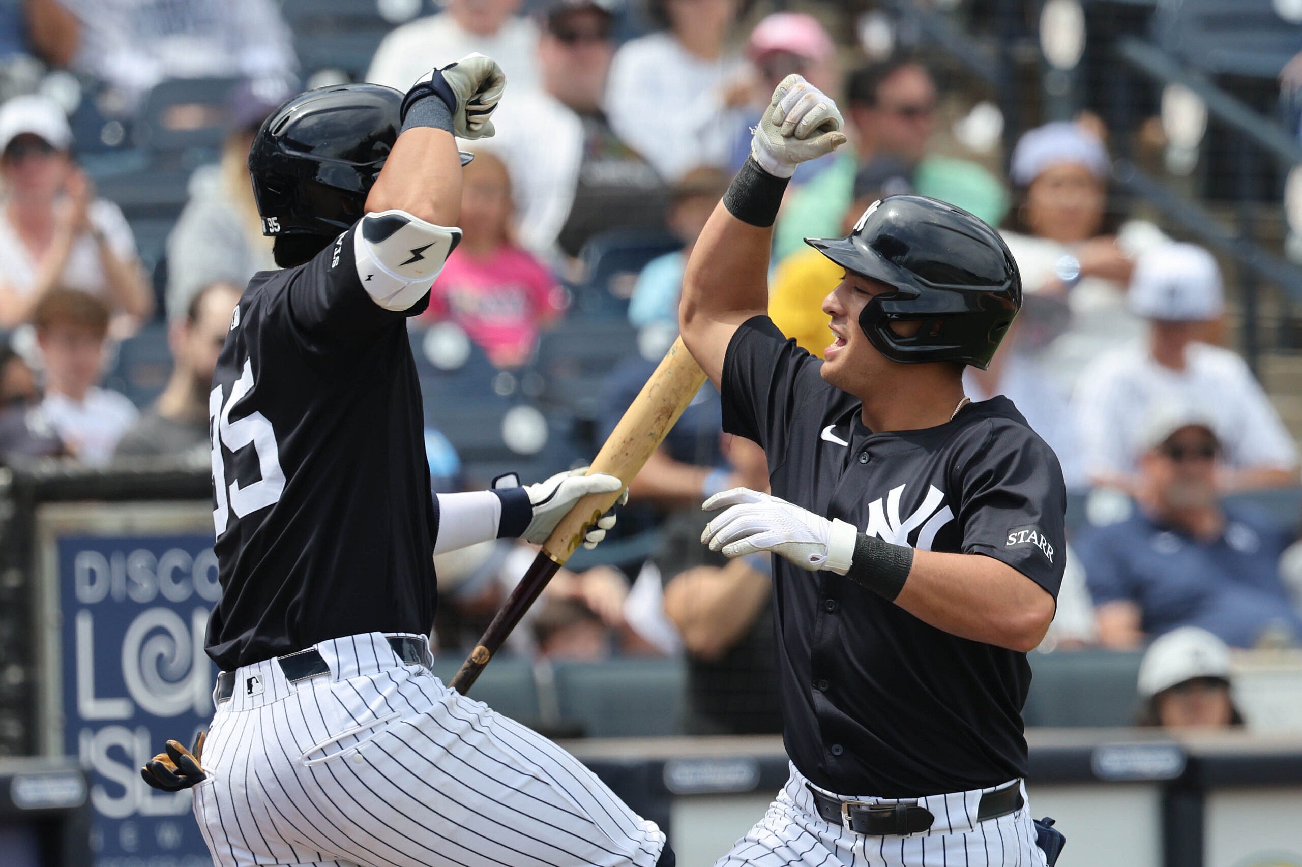 MLB: Spring Training-Tampa Bay Rays at New York Yankees