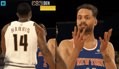 evan fournier, knicks