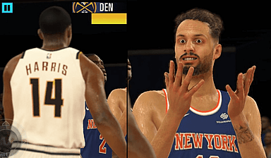 evan fournier, knicks