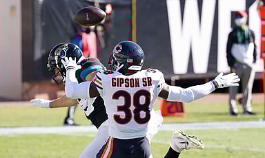 Tashaun Gipson, bears