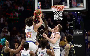 Jericho Sims, Isaiah Hartenstein, New York Knicks