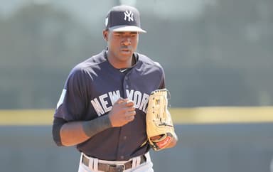 New York Yankees, Estevan Florial