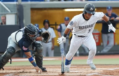 New York Yankees, Jasson Dominguez