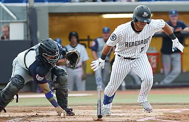 New York Yankees, Jasson Dominguez