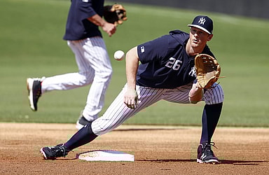 New York Yankees, DJ LeMahieu
