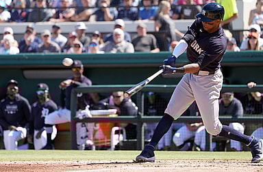 New York Yankees, Rosell Herrera