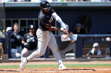 MLB: Spring Training-New York Yankees at Tampa Bay Rays, pablo reyes