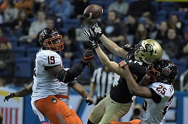 Madre Harper, New York Giants