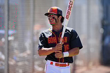 New York Yankees, Austin Wells