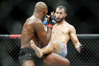 Dominick Reyes