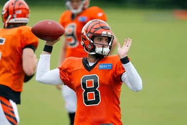 New York Giants, Brandon Allen