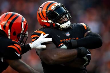 Larry Ogunjobi , bears, bengals