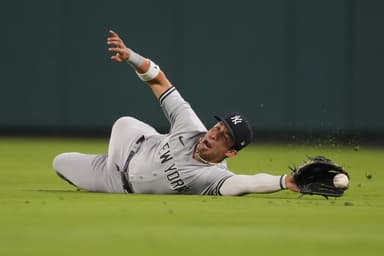 oswaldo cabrera, yankees