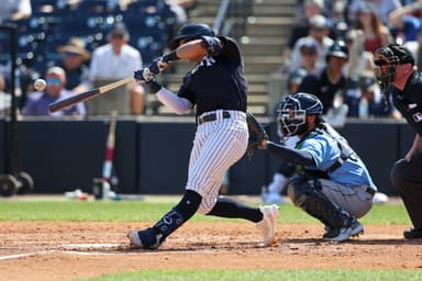 yankees, anthony volpe