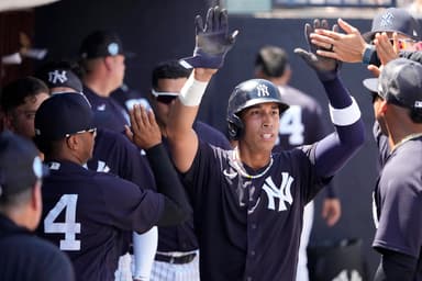 oswaldo cabrera, yankees