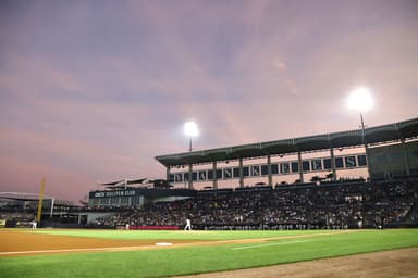MLB: Spring Training-Detroit Tigers at New York Yankees