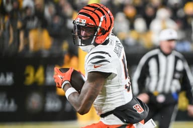 Tee Higgins, Patriots, Bengals, NFL