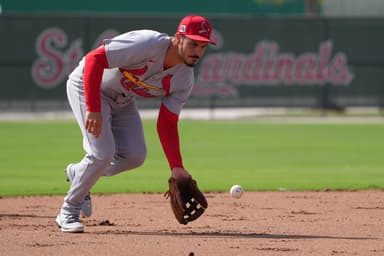 MLB: St. Louis Caridnals-Workouts, yankees
