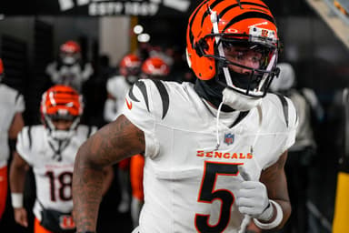 Tee Higgins, Bengals, Patriots