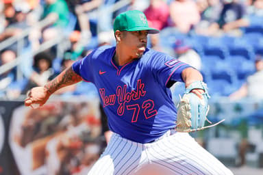 MLB: Spring Training-Tampa Bay Rays at New York Mets