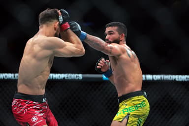 MMA: UFC 314 - Rodriguez vs Pitbull