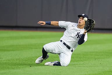 oswaldo cabrera, yankees