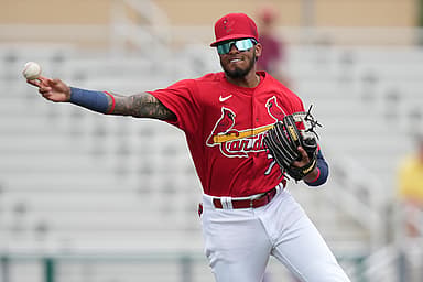 delvin perez, yankees