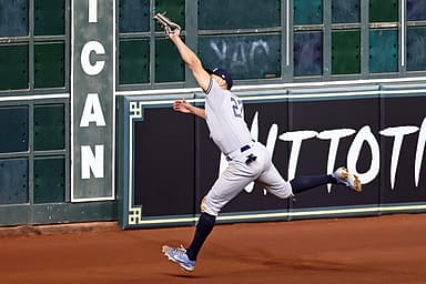 new york yankees, giancarlo stanton
