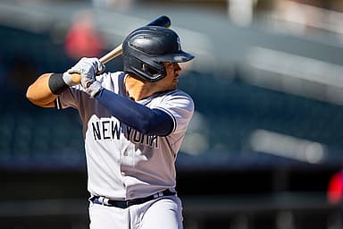 jasson dominguez, yankees