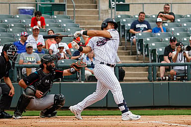 Syndication: Courier News, jasson dominguez, yankees