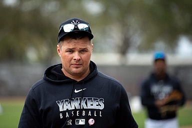 New York Yankees, Luke Voit