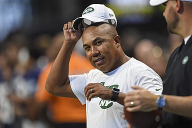 New York Jets, Hines Ward