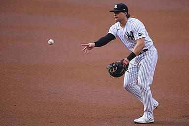 yankees, luke voit