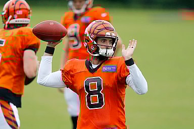 New York Giants, Brandon Allen