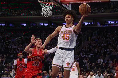 jericho sims, knicks