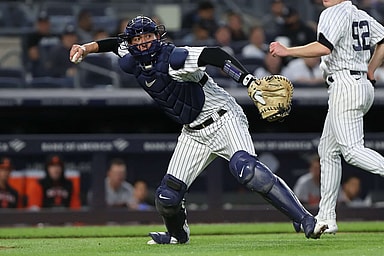 kyle higashioka, yankees