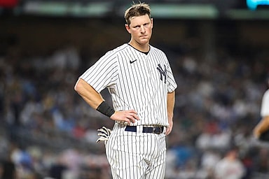 yankees, dj lemahieu
