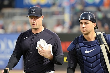 yankees, gerrit cole, kyle higashioka