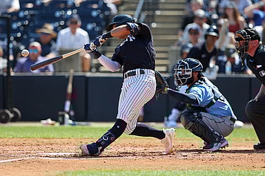 yankees, anthony volpe