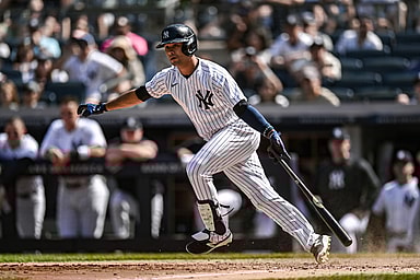 isiah kiner-falefa, yankees