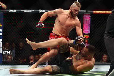 MMA: UFC 300 - Prochazka vs Rakic