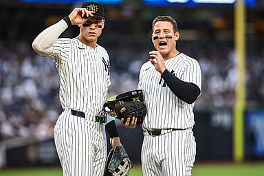 MLB: Chicago White Sox at New York Yankees, anthony rizzo