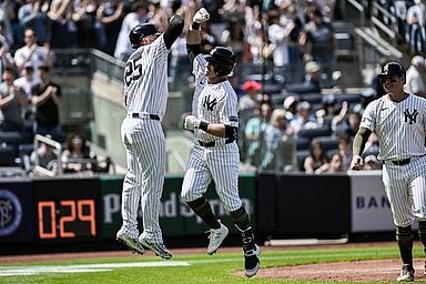 MLB: Chicago White Sox at New York Yankees, jon berti