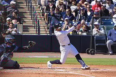 MLB: Spring Training-Tampa Bay Rays at New York Yankees, oswald peraza