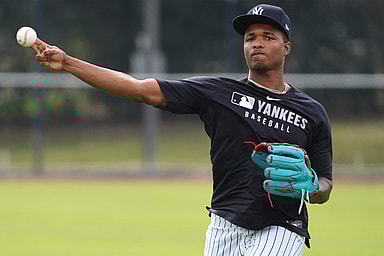 MLB: New York Yankees-Workouts