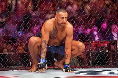 MMA: UFC Fight Night Blachowicz vs Ulberg