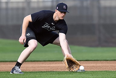 New York Yankees, DJ LeMahieu