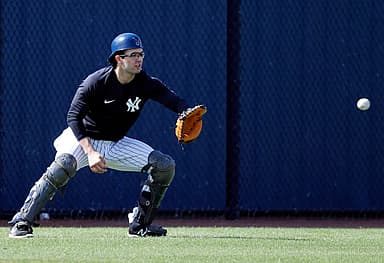 austin wells, yankees